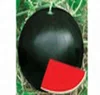 /product-detail/nofa-3-pure-black-seedless-watermelon-seeds-for-sale-523887199.html