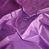 shining transparent nylon taffeta one way see through matt nylon fabric