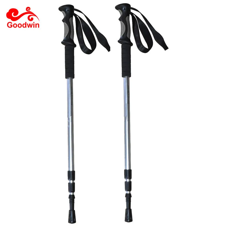 outdoor walking sticks