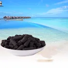 AC-220 Coal Extruded Activated Carbon Pellet for Air Purification
