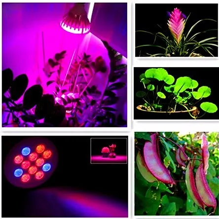オランダlp100フルスペクトル200ワット植物成長農業温室用ハーブ照明led成長ライト3ワット仕入れ・メーカー・工場