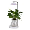Full Spectrum Growing Lights For Plants Indoor, Desk Lamp Type Plant Grow Light, Length Adjustable LED Grow Light