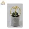 /product-detail/led-indoor-characteristic-decoration-with-artificial-plant-cactus-62176634735.html