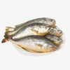 Frozen seafood products striped large yellow croaker
