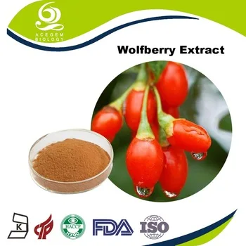 anti-aging product Goji Berry extract producer with cGMP standard