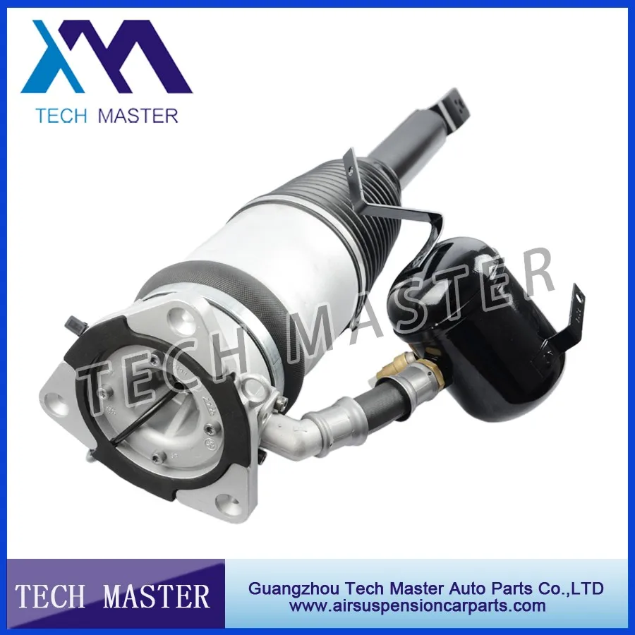 Audi A8 D3 Rear Air Strut.jpg