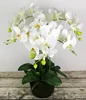 /product-detail/wholesale-artificial-flowers-orchid-bonsai-with-pot-for-decoration-flowers-artificial-60720782032.html