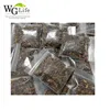 /product-detail/100-pure-natural-noni-dried-fruit-slice-with-best-quality-62014154545.html