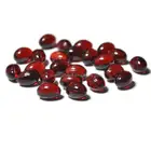 Refined Fish Oil 30/20 TG / Dietary Capsule