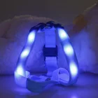 Glowing Led Dog harness Lighting Up In the Darkness With Many Styles