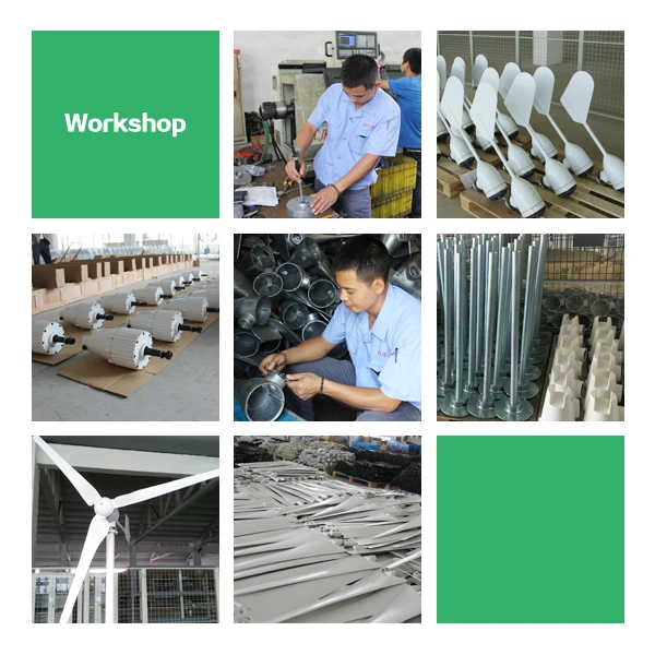 1kw 24v/48v three phase  magnetic wind power generators for sale China