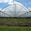 /product-detail/tropical-greenhouses-and-commercial-hydroponic-growing-systems-for-strawberry-60806922675.html