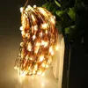 Holiday Party decoration indoor ultra thin multi color firefly 12 volt Christmas led fairy light