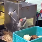 high quality Coconut Testa Removing Machine fruit machine juice making machine