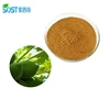 China Manufacturer 100% Natural Pure Papaya Leaf Extract Powder