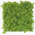 50*50cm durable nontoxic eco-friendly artificial hedge plant for hotel