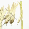 10-12in/25-30cm Gold Stamping Cock Tail Feathers for Carnival Show Cheap Gold Coated Rooster Tail Feather