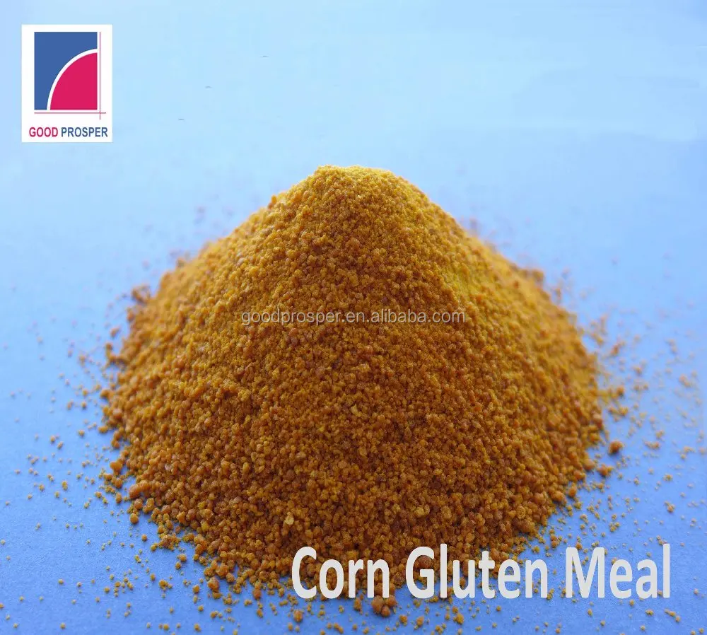 corn gluten meal bulk chicken feed for sale