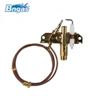ODS pilot burner gas burner for boiler for cooking