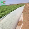 100% PP Nonwoven Agriculture Protective Fabric For Winter/Frost Protection