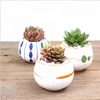 Japanese style fleshy flower pot with wooden handle hand-painted ceramic small flower pot