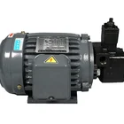 Motor and pump combination series electric hydraulic pump station