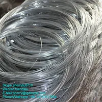 BWG16 Galvanized Binding Wire Galvanized Factory