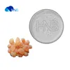 /product-detail/hnb-factory-supply-food-additives-arabic-gum-with-best-price-60687070487.html