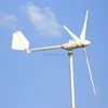 /product-detail/2kw-mini-wind-generator-mini-wind-power-generator-blades-60747268416.html