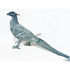 Rustic Animal Figurines, Bird Statues, Garden Pheasant Sculpture
