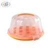 Factory directly sale transparent plastic bread box/ cake / bread use food container