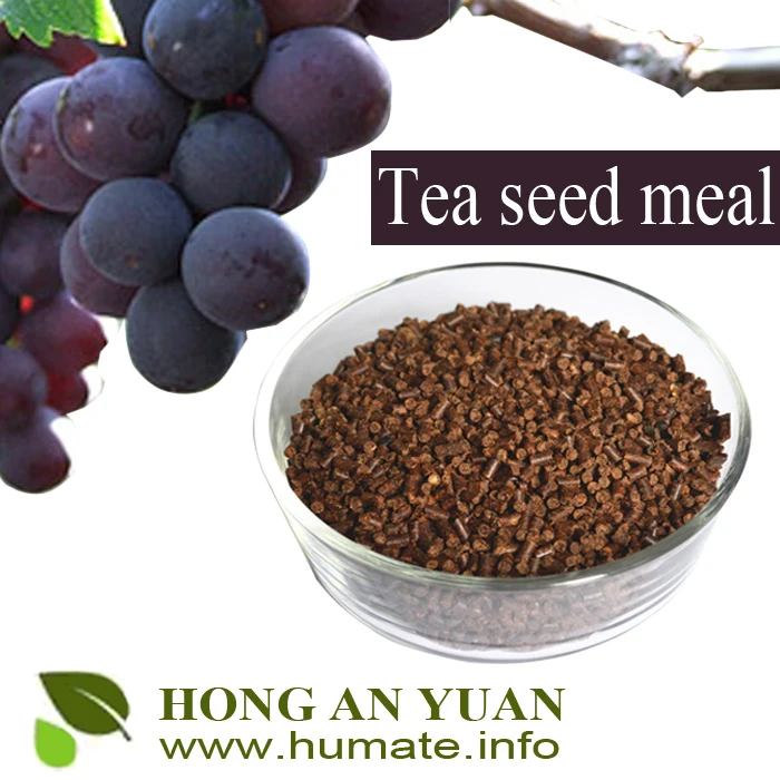 tea seed.jpg