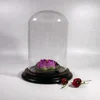 luxury large clear replacement glass dome with wooden base