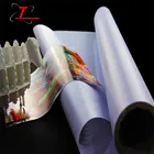 Large Format Printing PVC Lona Flex