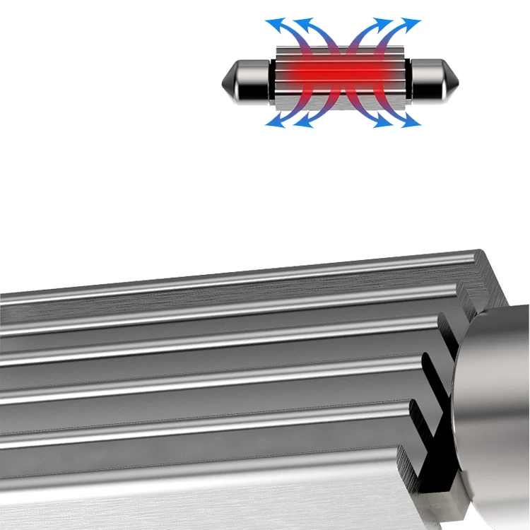 Canbus LED Festoon