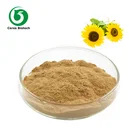 Pure Natural Sunflower Seed Extract Powder
