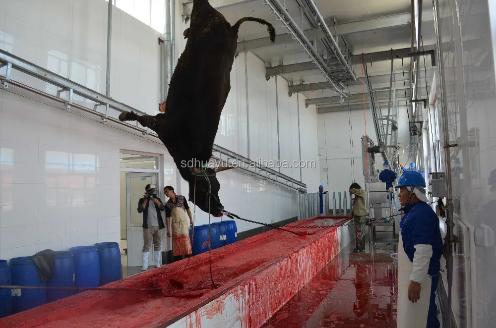 Cattle Slaughter House Equipment - Buy Cattle Slaughter House Equipment