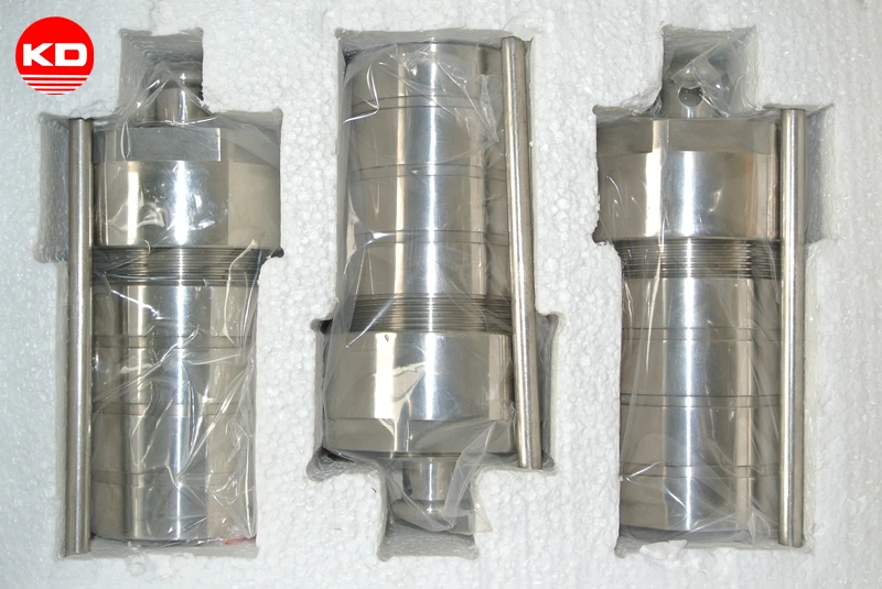 Hydrothermal Autoclave Reactor with Liner
