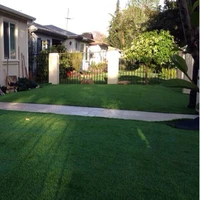 China Golden Supplier Cheap Artificial Landscaping