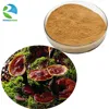 /product-detail/natural-extract-spore-powder-ganoderma-lucidum-60360193434.html