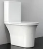 ANNWA AB2194 CE Certification European UK Dual-flush Washdown Two-piece Toilet