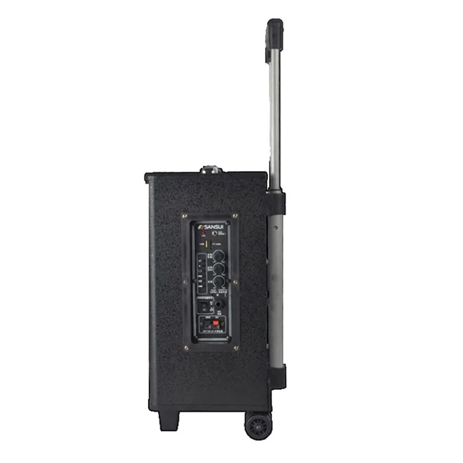 Big Woofer Active Pa System Wireless Outdoor Speaker With Usb