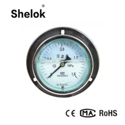 fuel pressure gauge