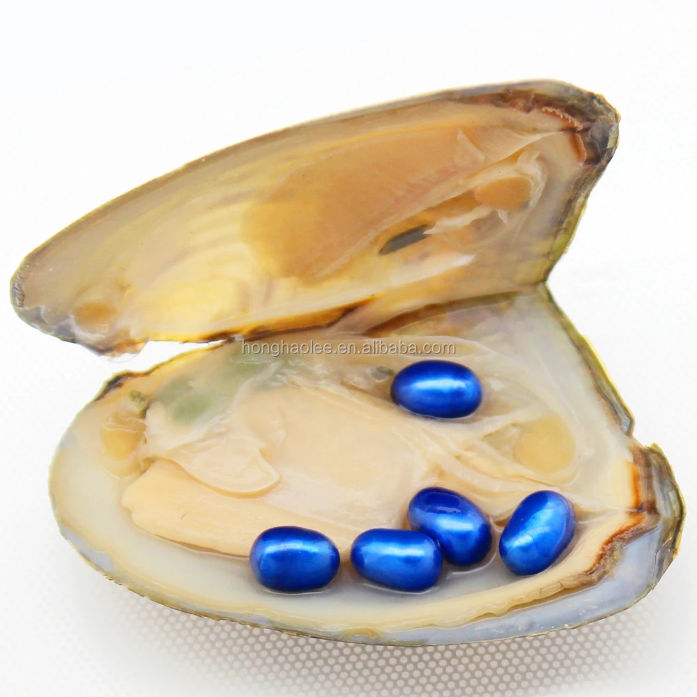 Party Surprise Gift 6-8mm Octopus Natural Fresh Oval Pearl Oyster Shell, Vacuum Pack Wholesale (Free Shipping)
Party Surprise Gift 6-8mm Octopus Natural Fresh Oval Pearl Oyster Shell, Vacuum Pack Wholesale (Free Shipping)