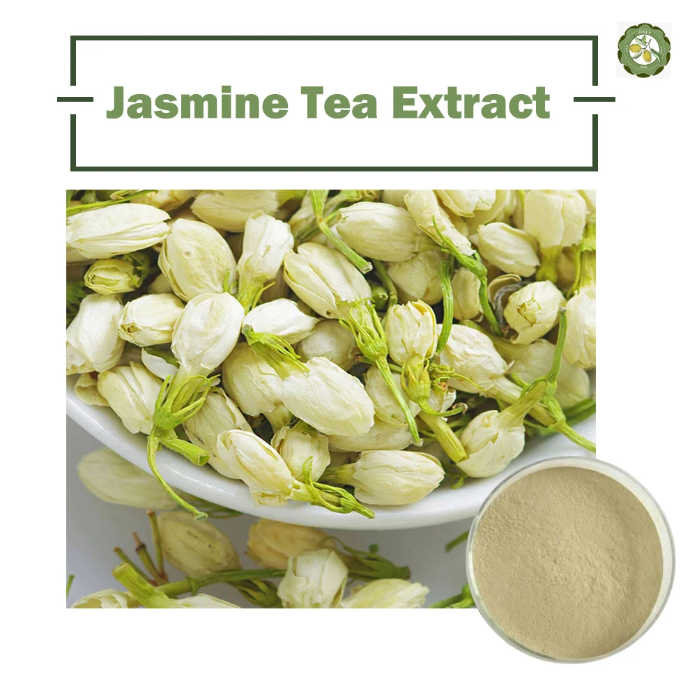 high quality jasmine tea extract / jasmine tea extract powder