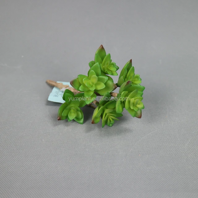 7 heads artificial dysosma pleiantha plant succulent