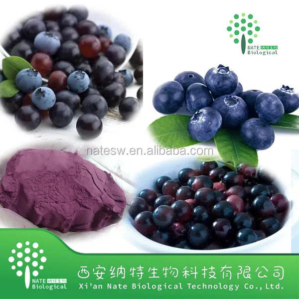 supplement acai berry