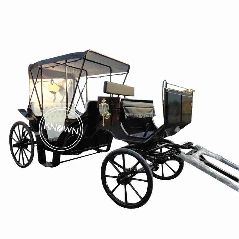 Horse carriage sightseeing horse drawn vehicles tourist horse wagons, Custom paint color
Horse carriage sightseeing horse drawn vehicles tourist horse wagons, Custom paint color