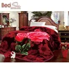 /product-detail/super-soft-kolkota-style-adult-4-5kg-2ply-large-size-3d-flower-printed-mink-blanket-60375715537.html