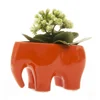Decorative small modern elephant animal shaped indoor ceramic flower pot
